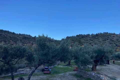 Landejendom i El Perello, Tarragona, El Perello - € 30.000 | Ref: Finca Javier Bi - foto 39